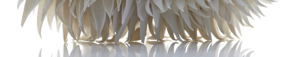 Nuala O'Donovan Artist